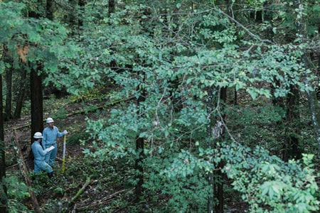 森林技術向上への研究の写真