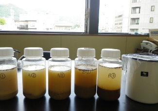 土壌酸性度試験　写真
